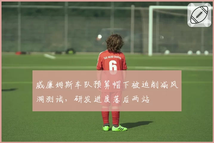 威廉姆斯车队预算帽下被迫削减风洞测试，研发进度落后两站