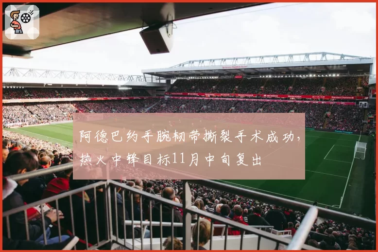 阿德巴约手腕韧带撕裂手术成功，热火中锋目标11月中旬复出