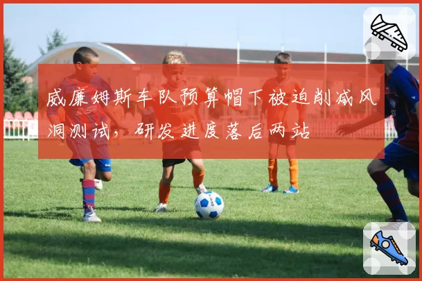 威廉姆斯车队预算帽下被迫削减风洞测试,研发进度落后两站