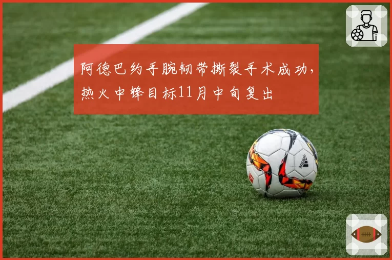 阿德巴约手腕韧带撕裂手术成功，热火中锋目标11月中旬复出