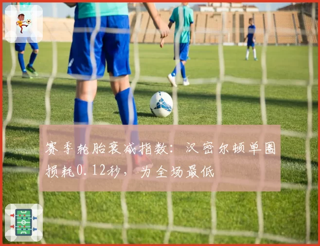 赛季轮胎衰减指数：汉密尔顿单圈损耗0.12秒，为全场最低